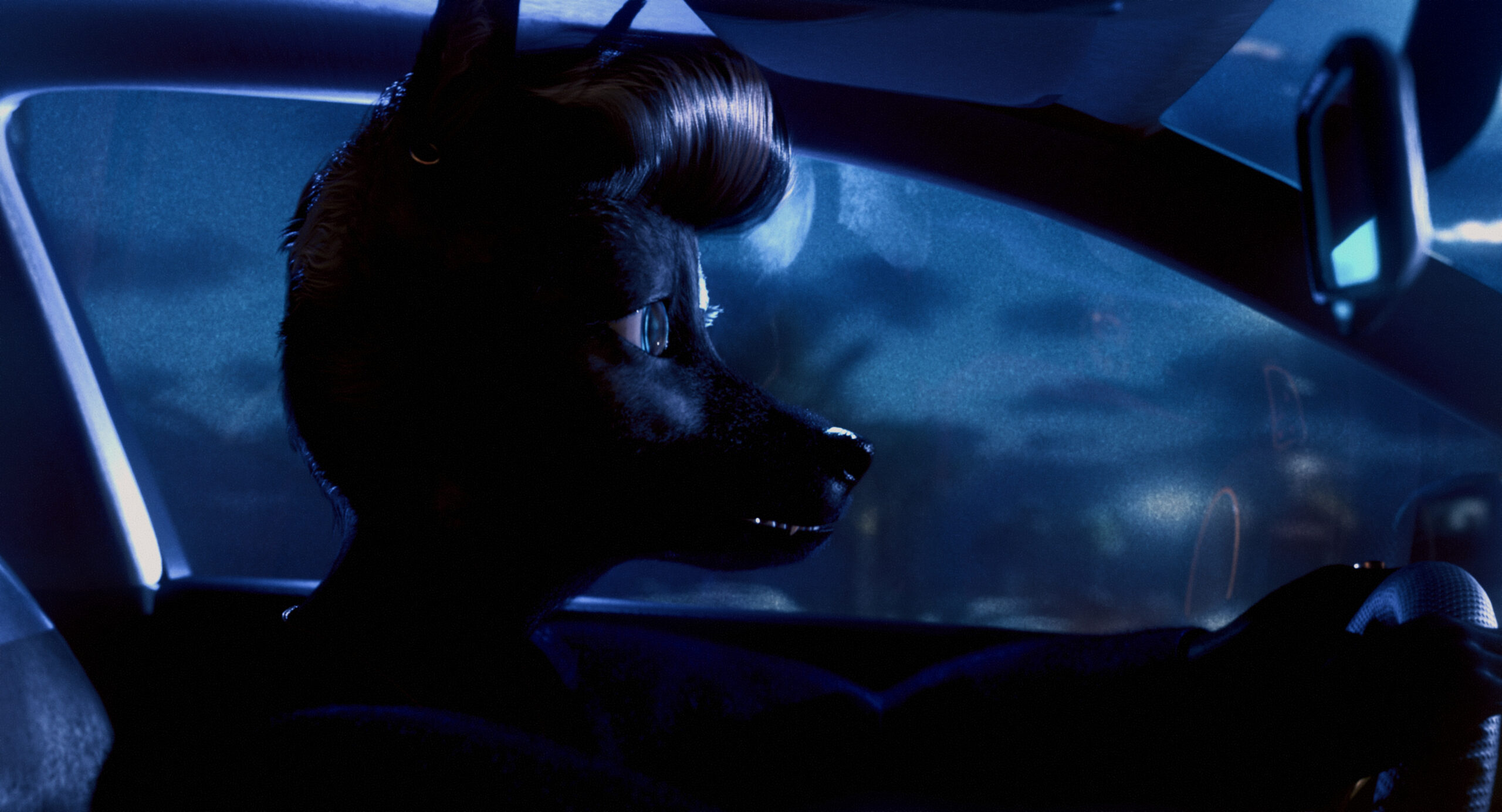 Bouchra © 2 Lizards Production