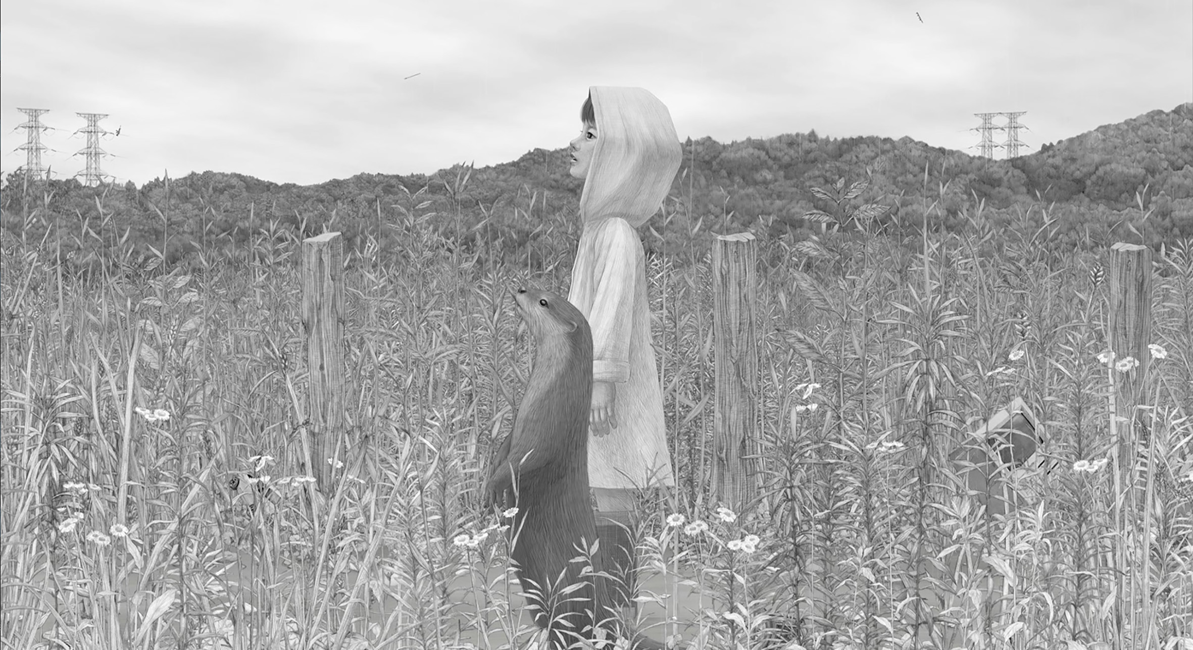 Kawauso © Studio Mangosteen