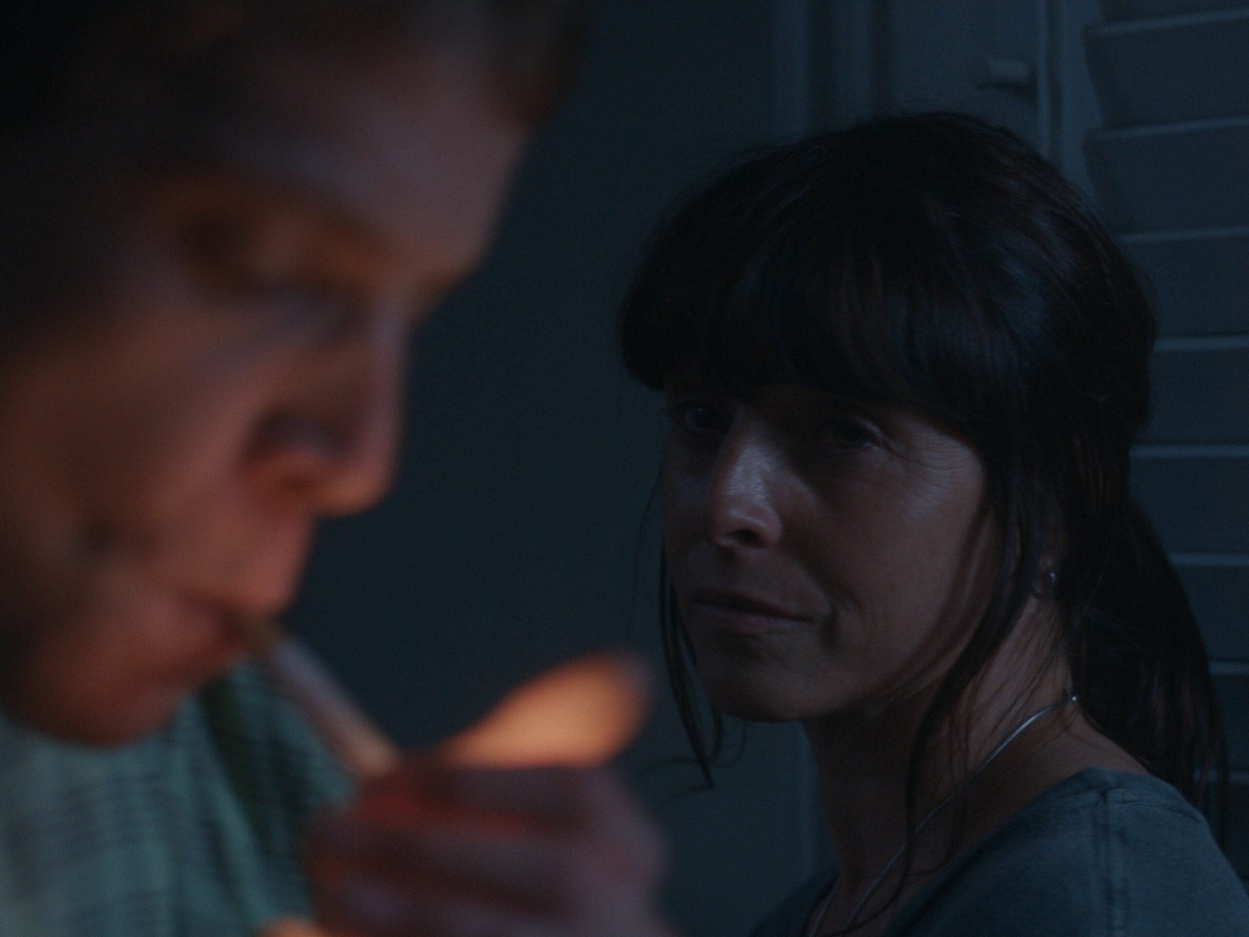 Las colillas de mi casa