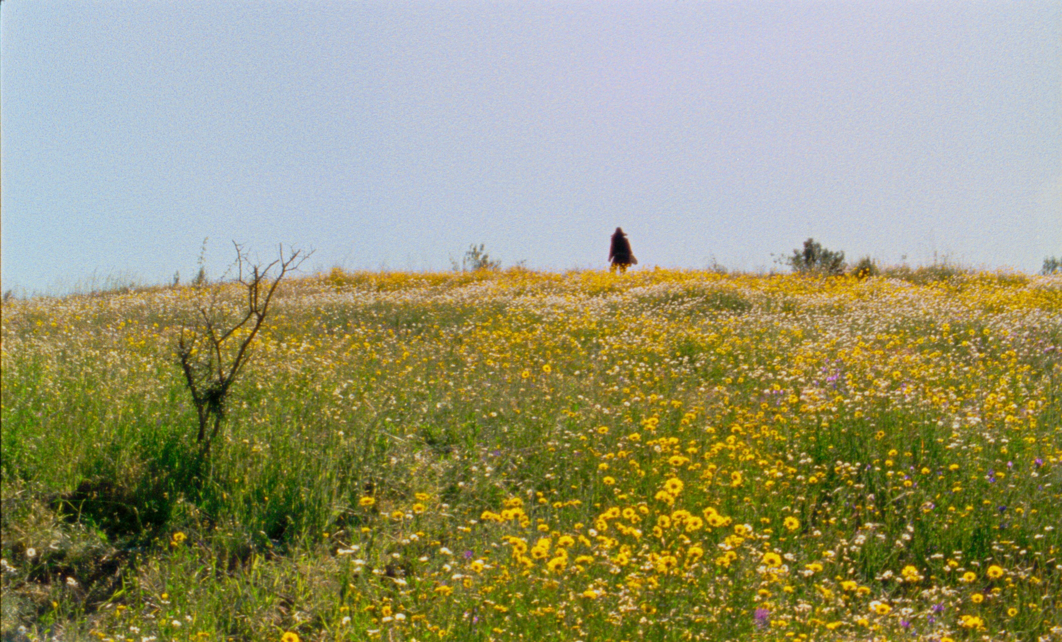 Las estaciones © Marianne Andrea Borowiec