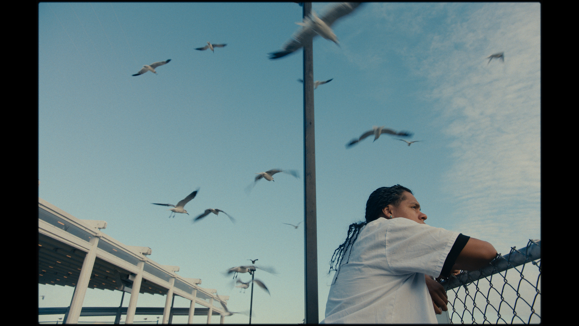 Mad Bills to Pay (or Destiny, dile que no soy malo) © Joel Alfonso Vargas