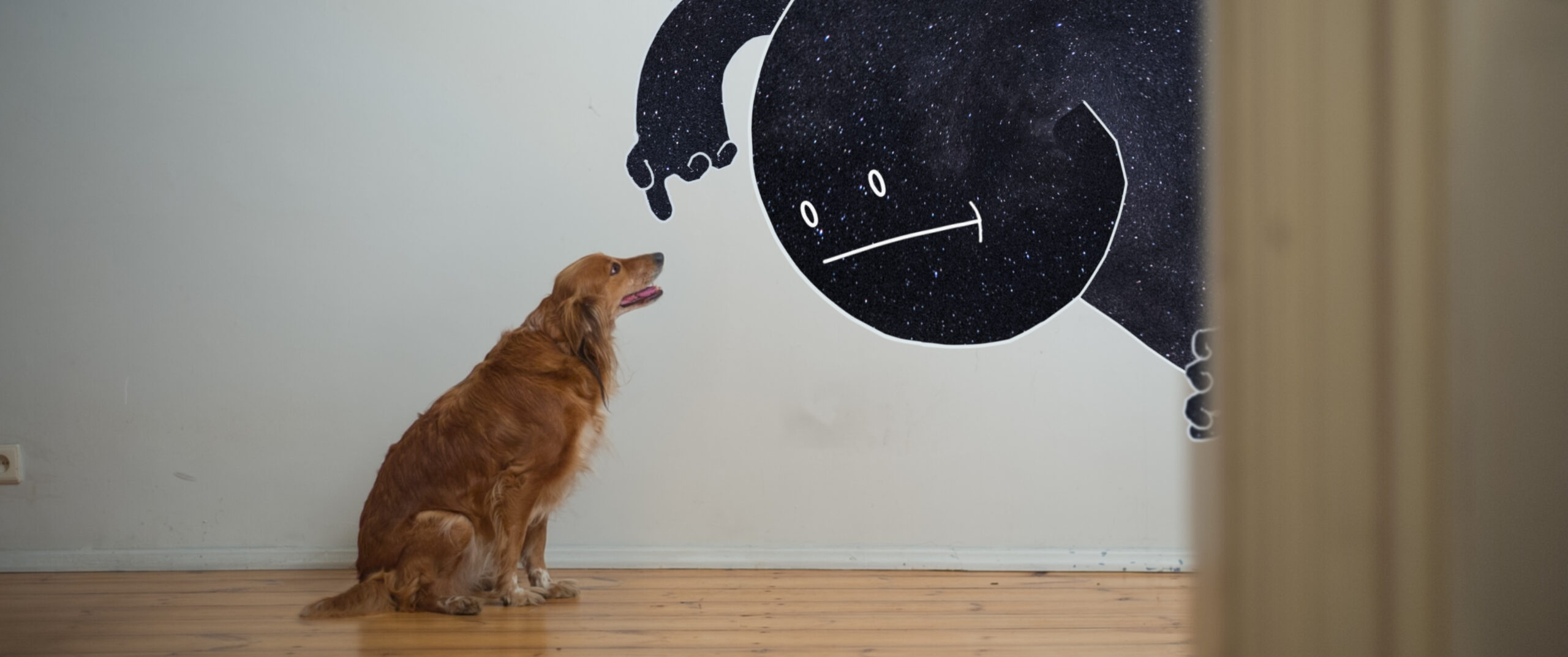 Mr. Night Has a Day Off